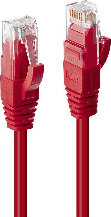 Image du produit Lindy Câble de réseau (UTP, CAT6, 0.50 m)