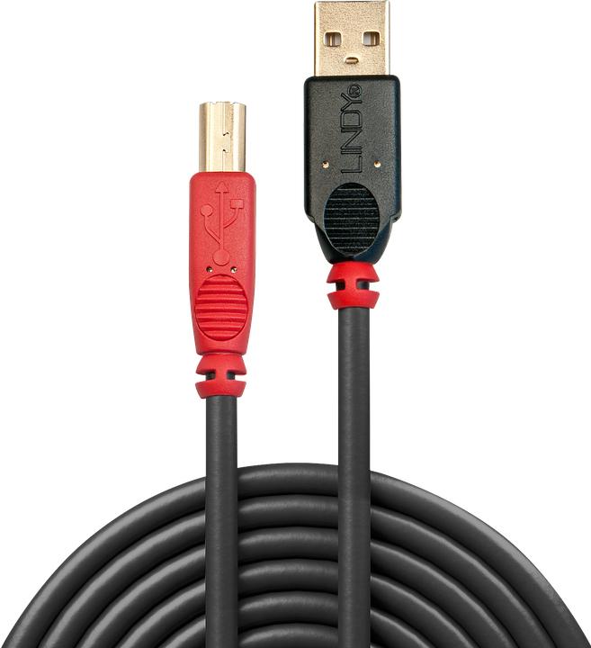 Actual product image Lindy USB A - USB B (10 m, USB 2.0, 2.50 W)