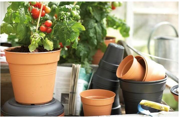 Produktbild Elho Green Basics