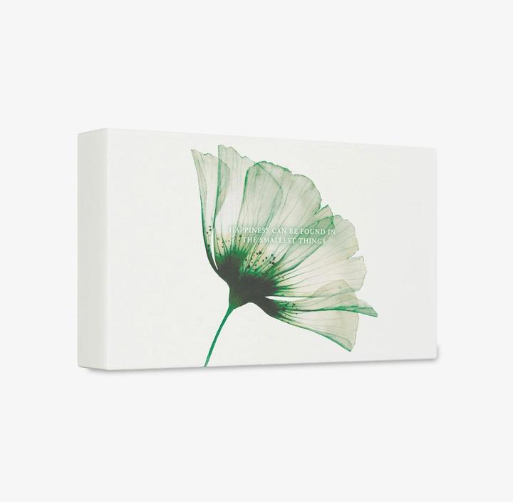 Actual product image Rituals Jing Set (Body care set)