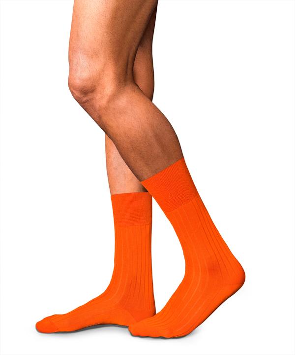 Image du produit Falke No. 2 SO (Une unité par pack, 43 - 44)