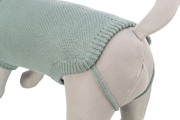 Image du produit Trixie Citystyle Hondentrui Berlin Salie (L, Pull-over pour chien)