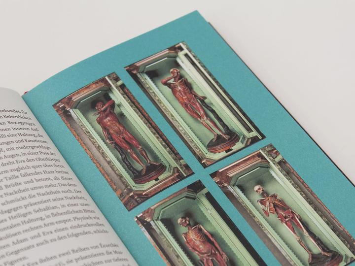 Produktbild Signora Ann, Anatomin der Aufklärung (Deutsch, Rebecca Messbarger, 2015)