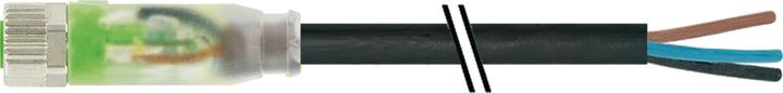 Produktbild Murr Elektronik 7000-08111-6300500 Sensor-/Aktor-Steckverbinder, unkonfektionier