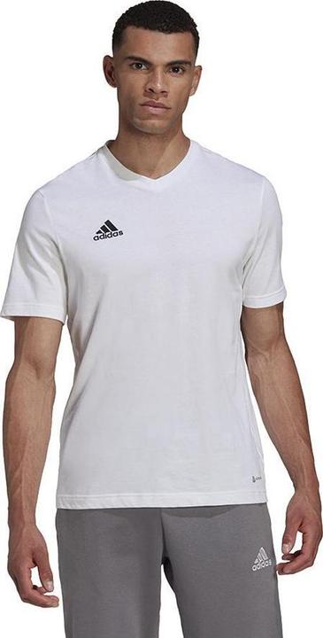 Produktbild Adidas Entrada 22 TShirt (M)
