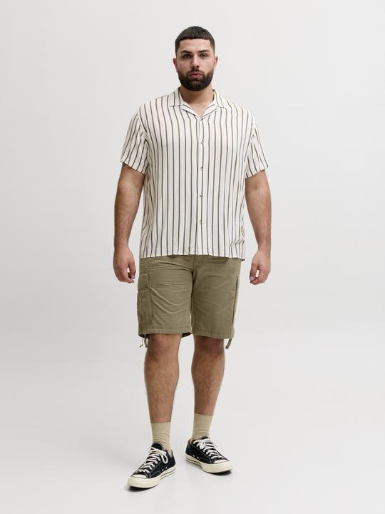 Image du produit Jack & Jones Plus Size Relaxed Fit Cargo Shorts Cargo Shorts (46)