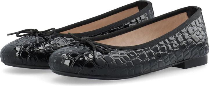 BlackCrocoPatent