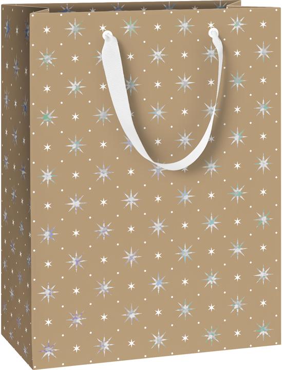 Image du produit Stewo Geschenktaschen (Pochette cadeau, 6 x)