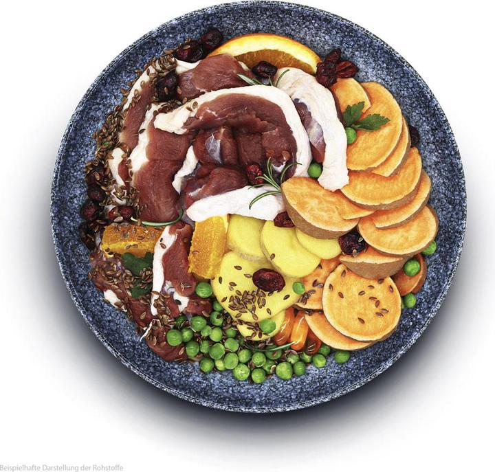 Actual product image Sollis Dry dog food duck 2kg (Adult, 1 pcs., 2000 g)