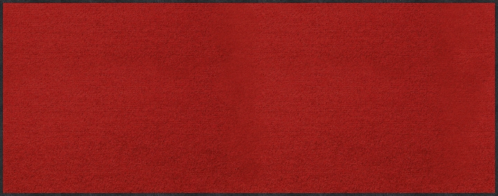 Rot