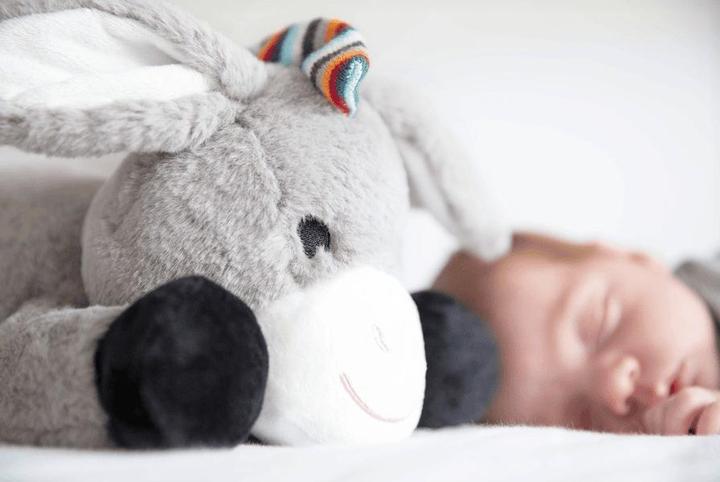 Image du produit ZaZu Don (32 cm)