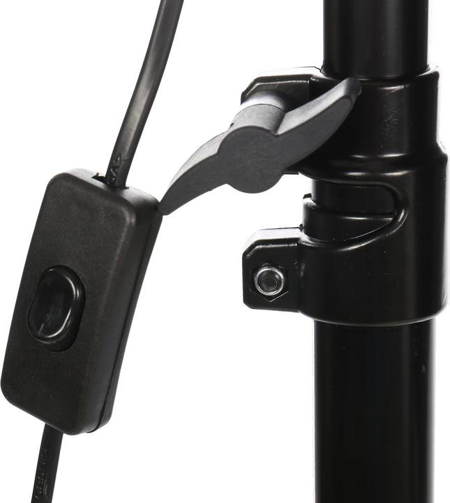 Image du produit Studioking Kit d'éclairage naturel PK-SB608K 2x85W (éclairage de studio)