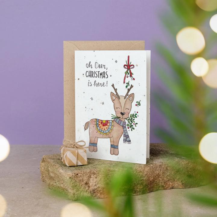Image du produit Einfach Weniger Carte de Noël - carte postale à planter avec des graines de fleurs colorées (Oh, deer Christmas is (1 pcs)