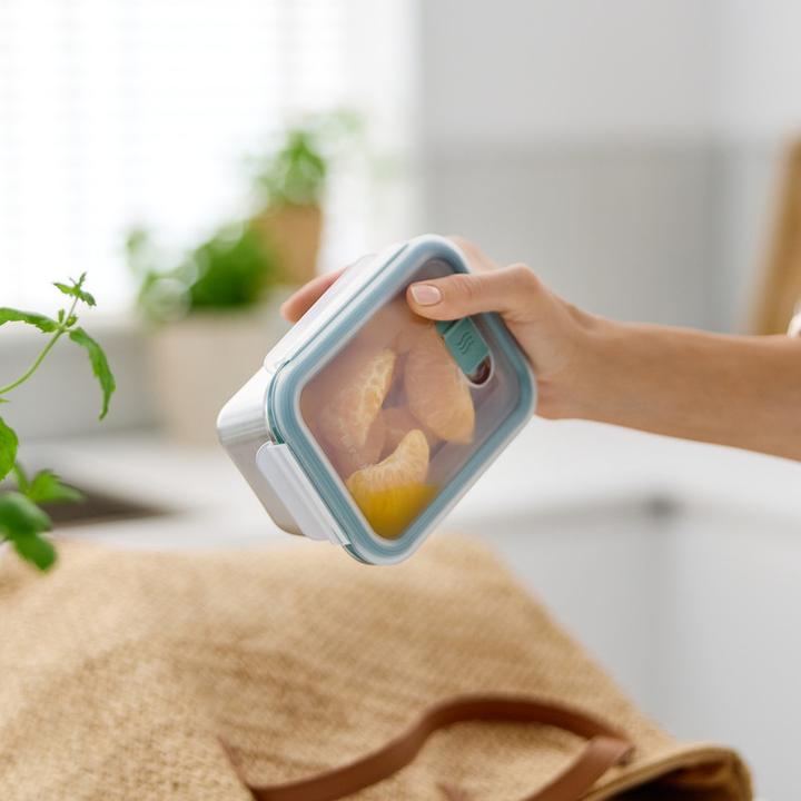 Actual product image Rotho Pagamalu (0.70 l)