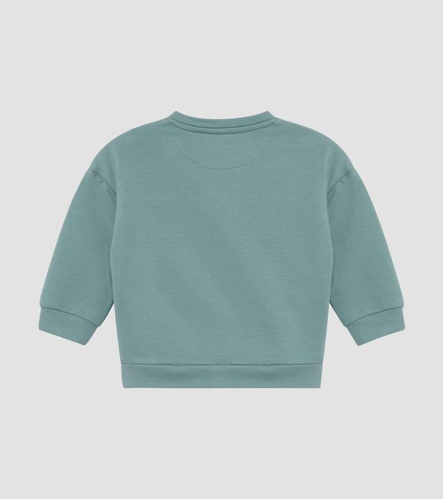 Immagine prodotto S.Oliver Sweatshirt Sweatshirt mit Print und Stickerei (68)