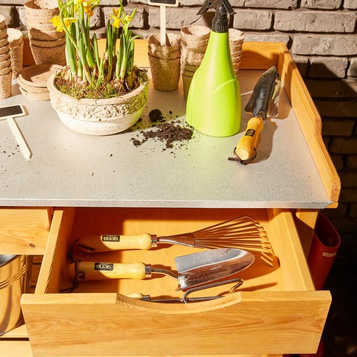 Productafbeelding Siena Garden Paola planttafel