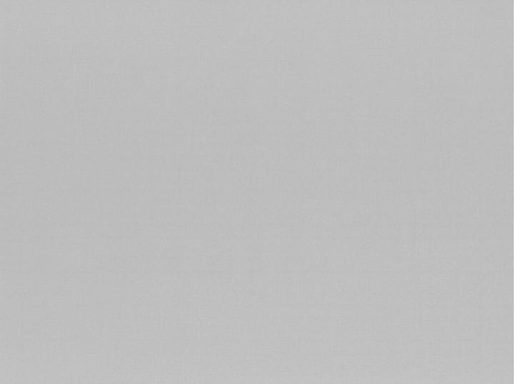 Immagine prodotto Papstar Tovagliette (100 pz., 30 x 40 cm)