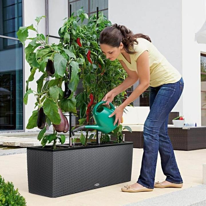 Produktbild Lechuza Trio Cottage (32 cm)