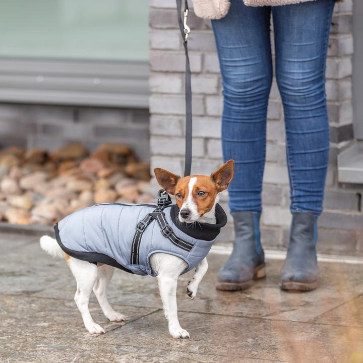 Produktbild Trixie 680343 (S, Hundemantel)