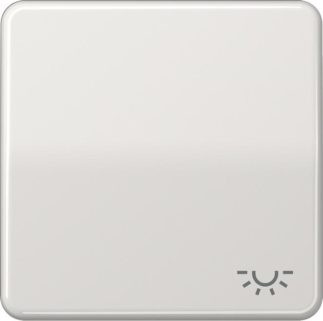 Actual product image JUNG Rocker switch CD lgr glz light CD590LLG