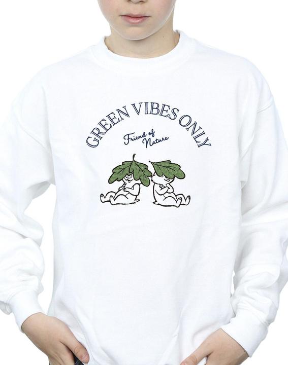 Image du produit Disney - Sweat CHIP 'N DALE GREEN VIBES ONLY - Garçon (128)