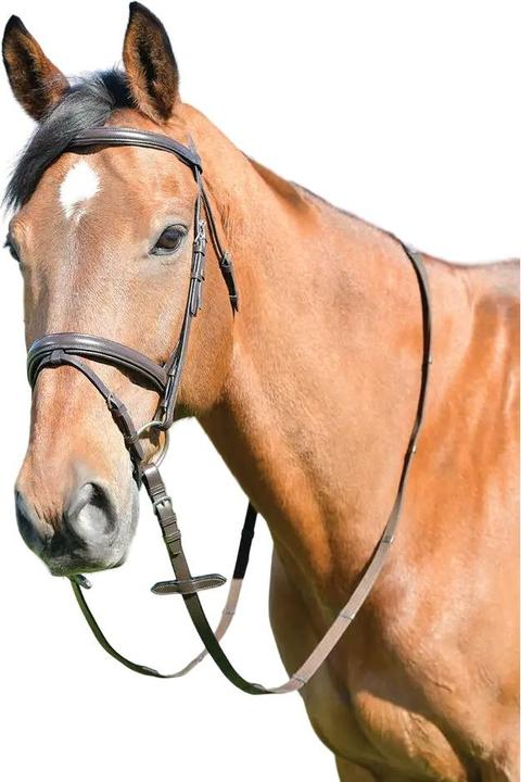 Image du produit Kincade - Bride avec rênes pour chevaux CLASSIC
