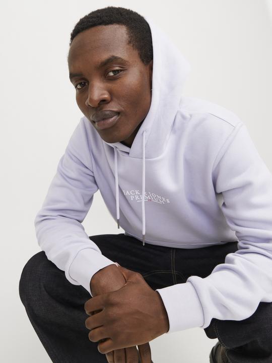 Produktbild Jack & Jones Logo Kapuzenpullover Kapuzenpullover (S)