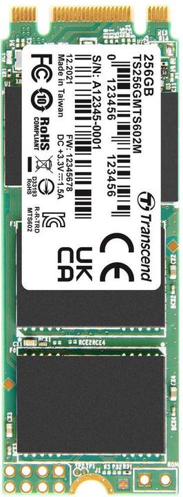 Actual product image Transcend MTS602M - SSD - 256 GB - inter (256 GB, M.2, M.2 2260)
