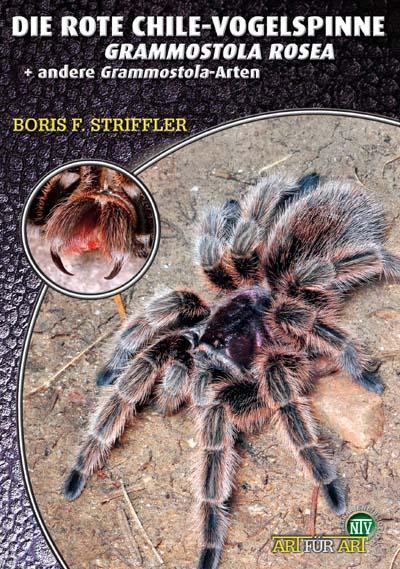 Produktbild Die Rote Chile-Vogelspinne und andere Grammostola-Arten (Deutsch, Boris F. Striffler, 2019)
