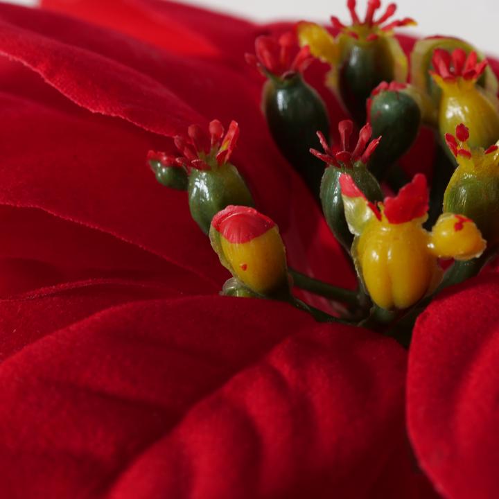 Image du produit Boltze Home Weihnachtsstern (40 cm)