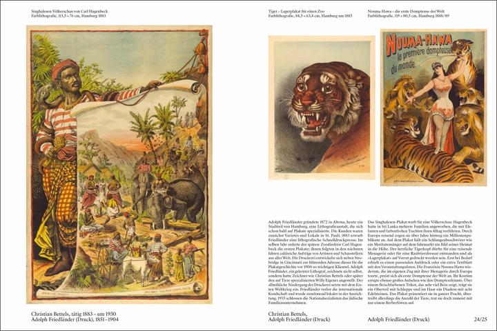 Produktbild Das Plakat (Deutsch, Jürgen Döring, 2020)