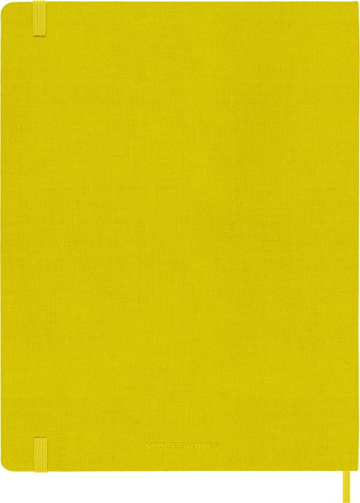 Image du produit Moleskine COLOR - Carnets de notes (25 x 19 cm, À rayures)