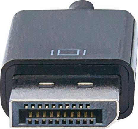 Actual product image Manhattan DisplayPort closed (DVI, 23 cm)