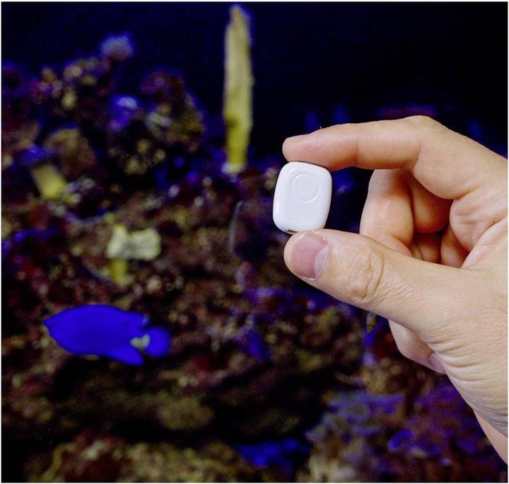 Image du produit Shelly · DIY · The Pill