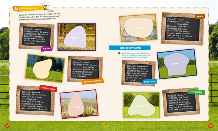 Produktbild Tessloff Rätseln und Stickern: Pferde (Deutsch, Anja Starigk, 2016)