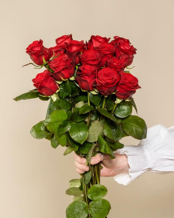 feey Roses rouges 20 pcs (Fleurs coupées, 20x)