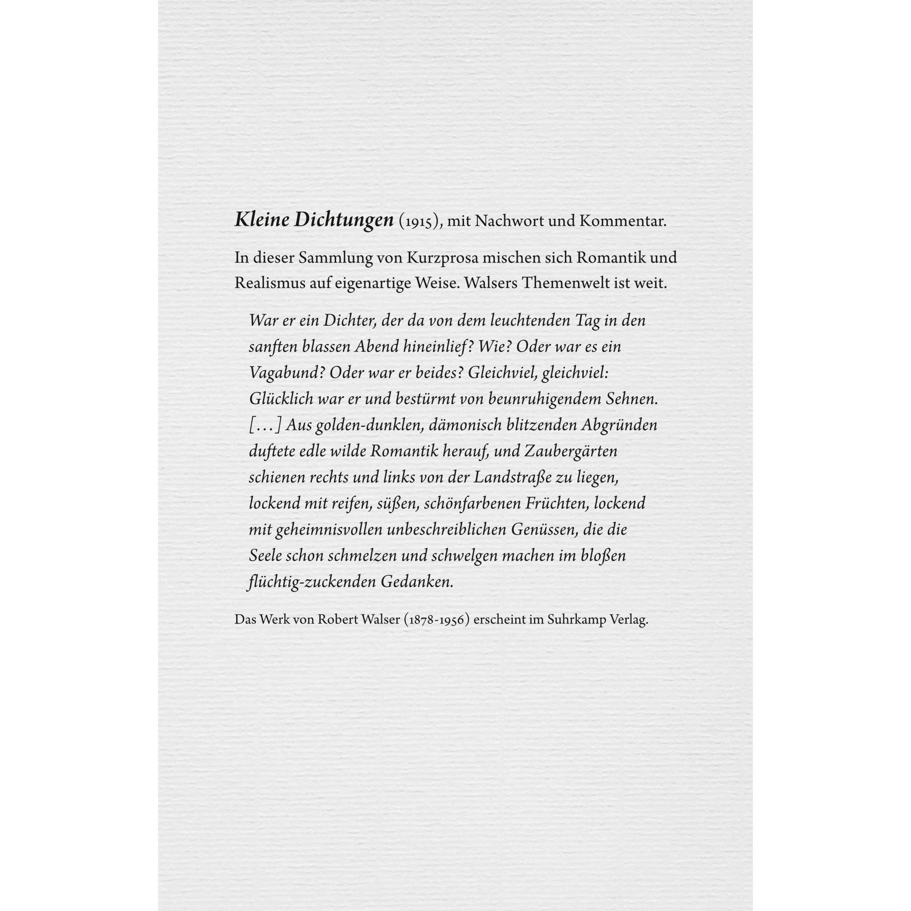 Thumbnail - Werke. Berner Ausgabe, Belletristik von Robert Walser