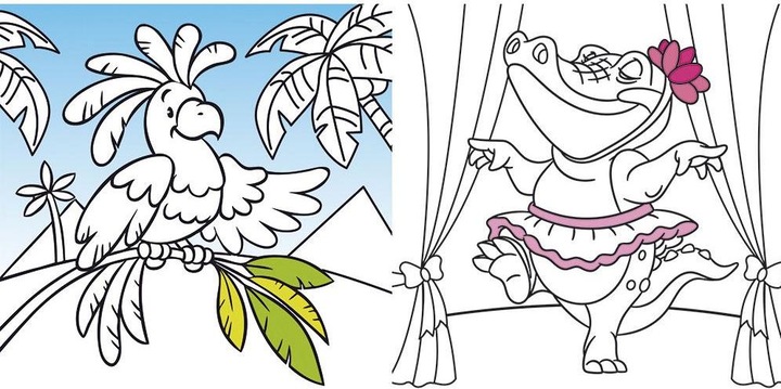 Actual product image Animal colouring book Funny motifs to colour in