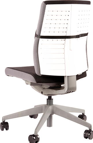 Actual product image Fellowes Back support Professonal Series