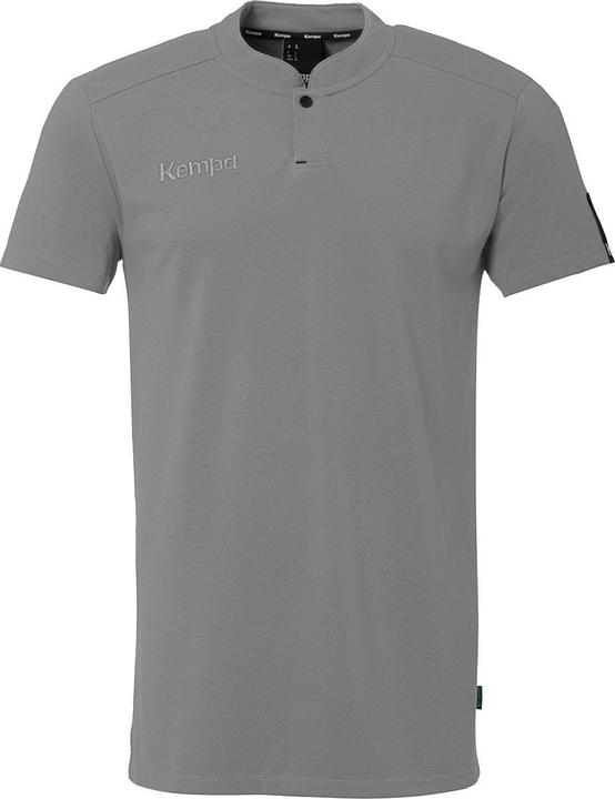 Grigio pietra