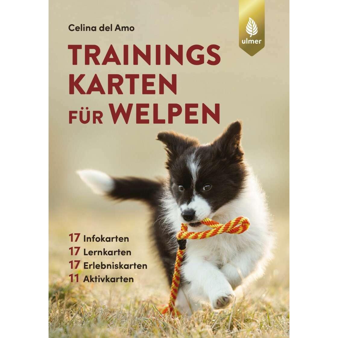 Trainingskarten für Welpen, Ratgeber von Celina del Amo
