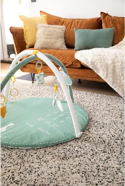 Actual product image aden + anais Sophie la girafe crawling blanket + play arch