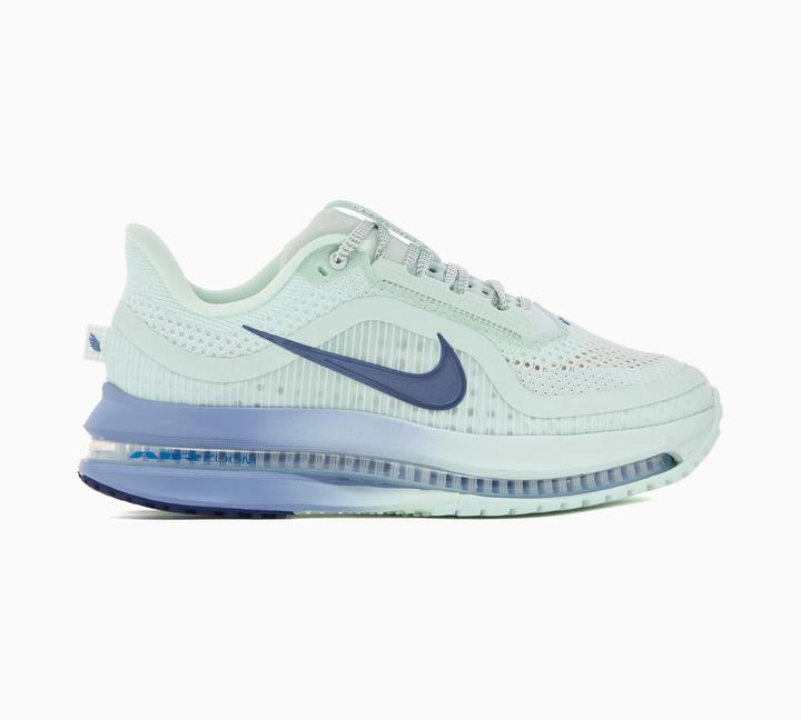 Produktbild Nike Women's Pegasus Premium (40.5)