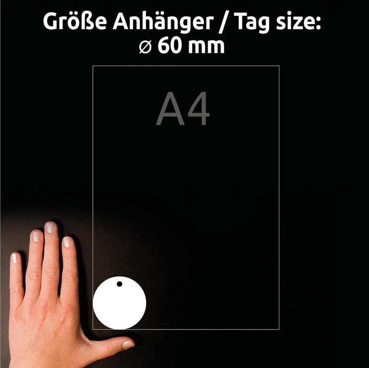 Actual product image Avery Trailer