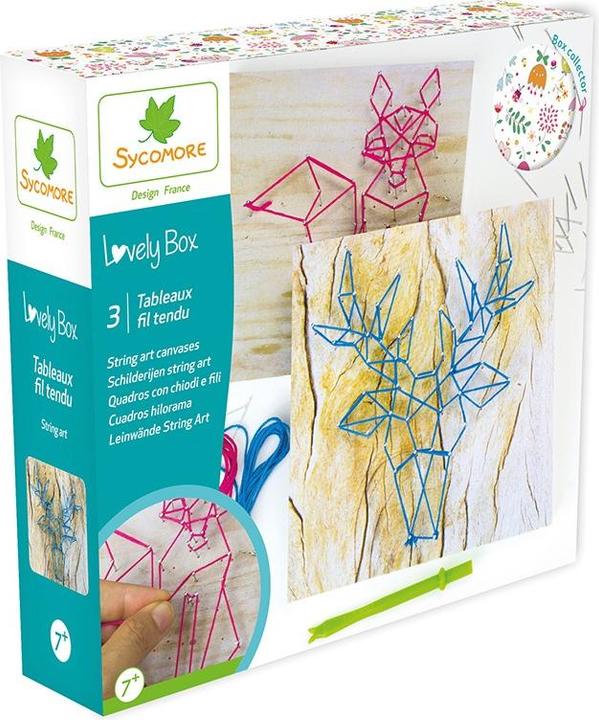 Actual product image Sycomore Canvas String Art