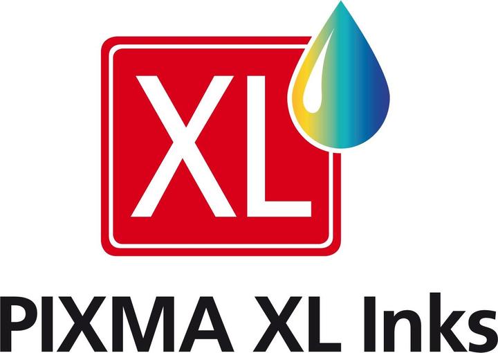 Actual product image Canon PG-545XLx2/CL-546XL Ink Cartridge (M, C, Y, FC)
