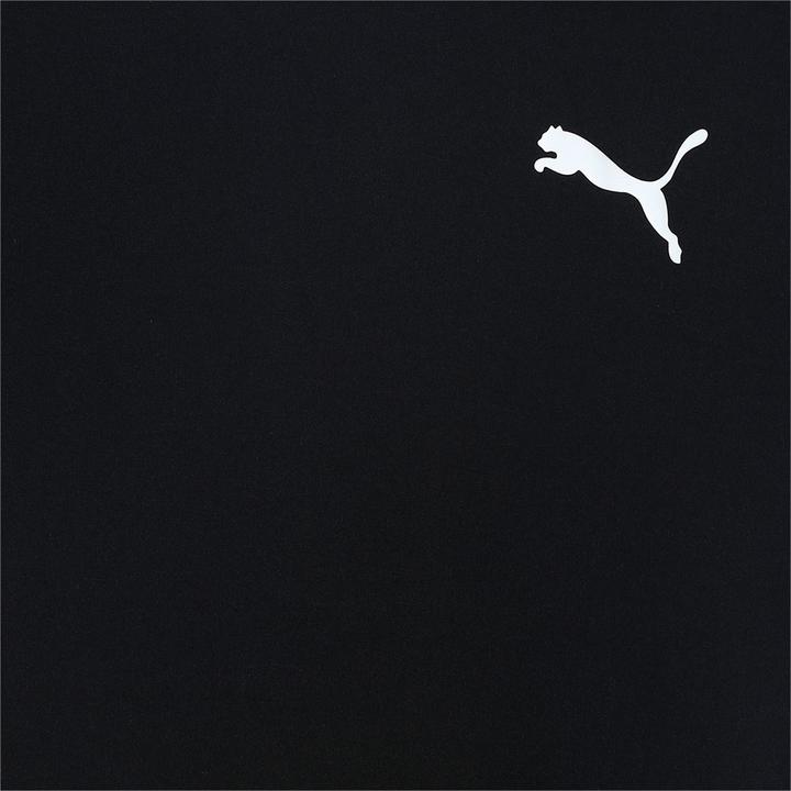 Produktbild Puma ACTIVE Small Logo Tee-586980 (104)