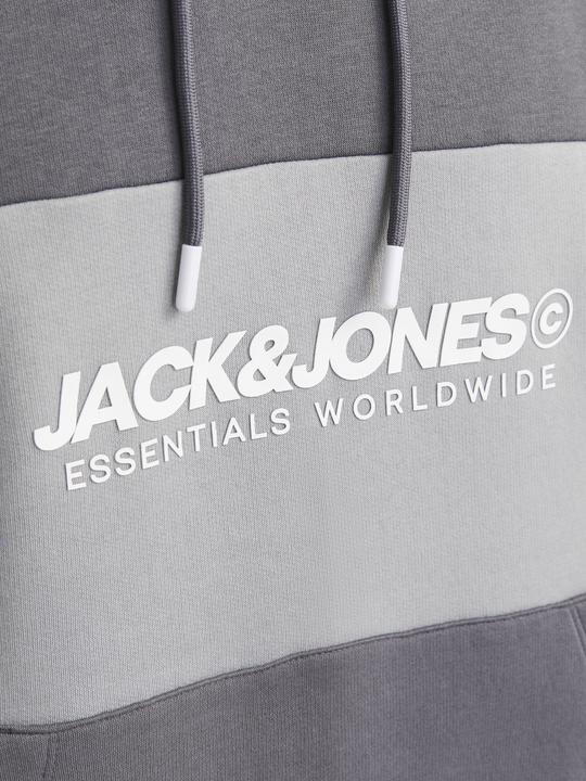 Immagine prodotto Jack & Jones Jjelegacy Blocking Sweat Hood Noos (XS)
