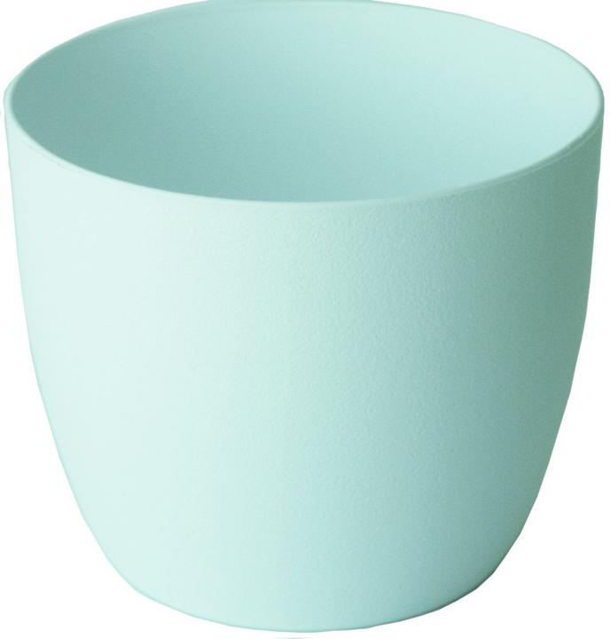 Produktbild Samen Mauser MILANO Ø 15cm (15 x 13 cm)