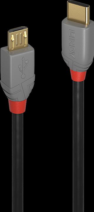 Actual product image Lindy Anthra Line (0.50 m, USB 2.0)